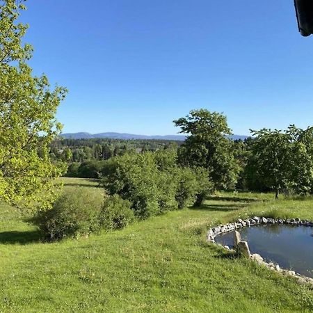 Cozy Apartment In Braunlage Near Forest Hohegeiß 外观 照片