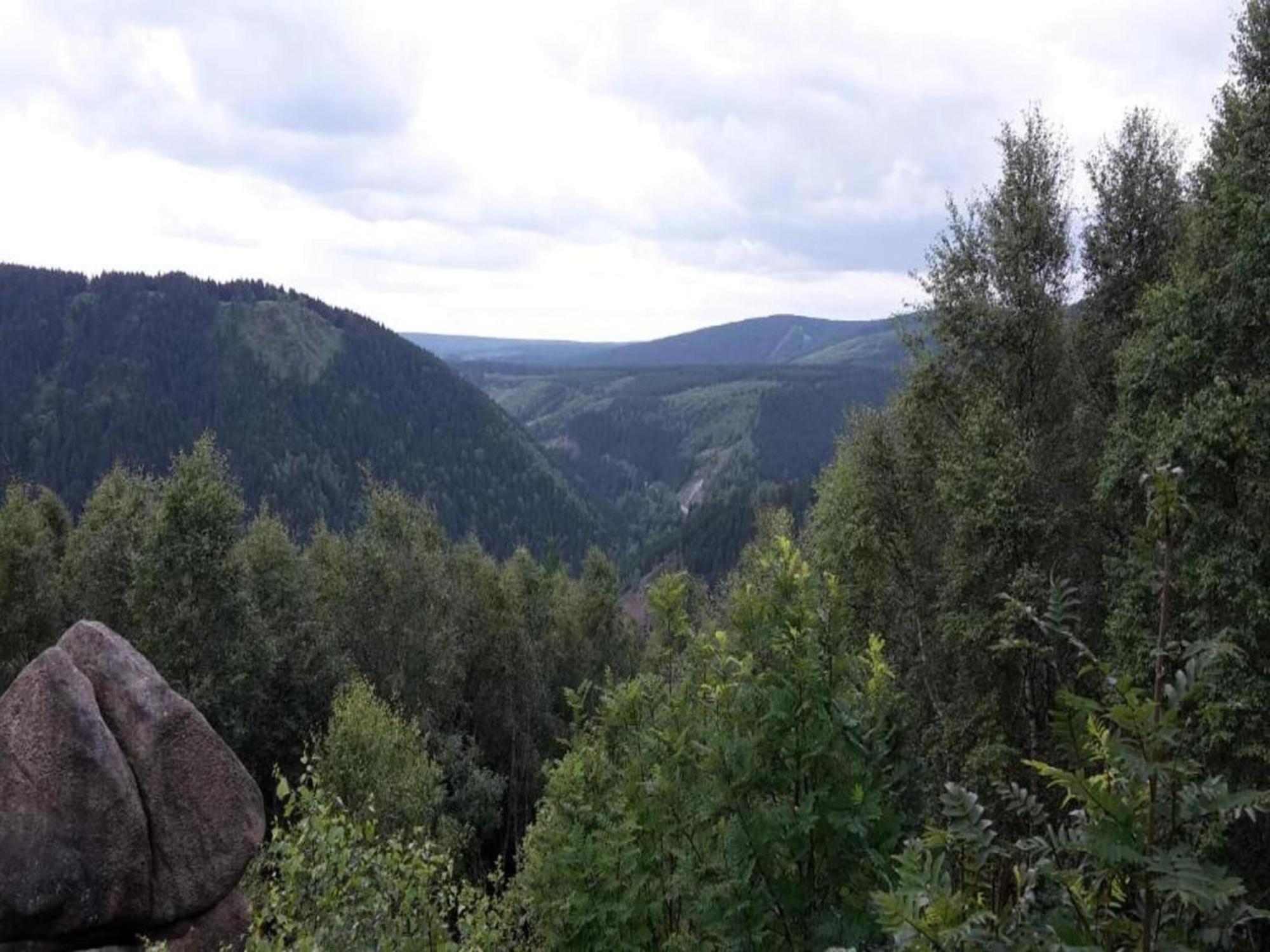Cozy Apartment In Braunlage Near Forest Hohegeiß 外观 照片