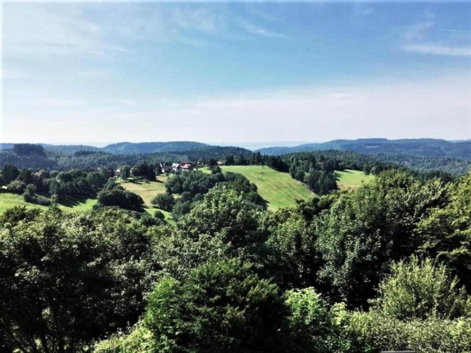Cozy Apartment In Braunlage Near Forest Hohegeiß 外观 照片