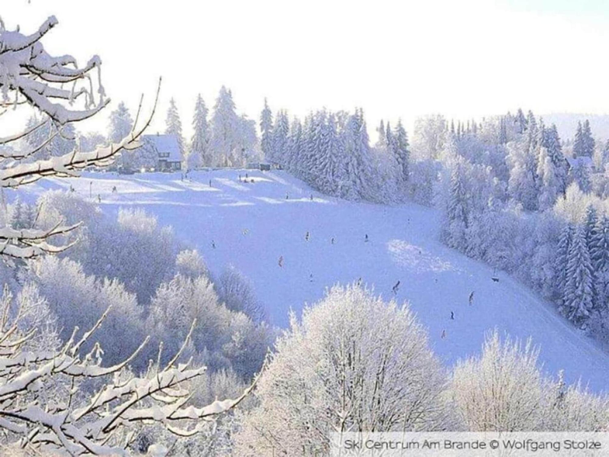Cozy Apartment In Braunlage Near Forest Hohegeiß 外观 照片